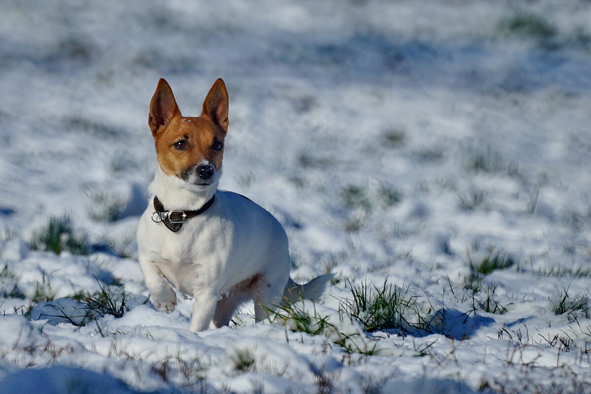 Вижу цель... - Николай Саржанов
