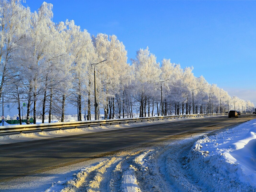 Чебоксары. Зимняя лесополоса Марпосадского шоссе. - Пётр Чернега