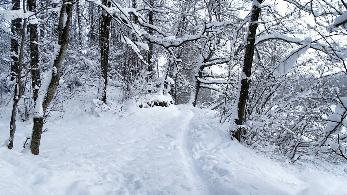 Тропа рыбаков. - Милешкин Владимир Алексеевич 