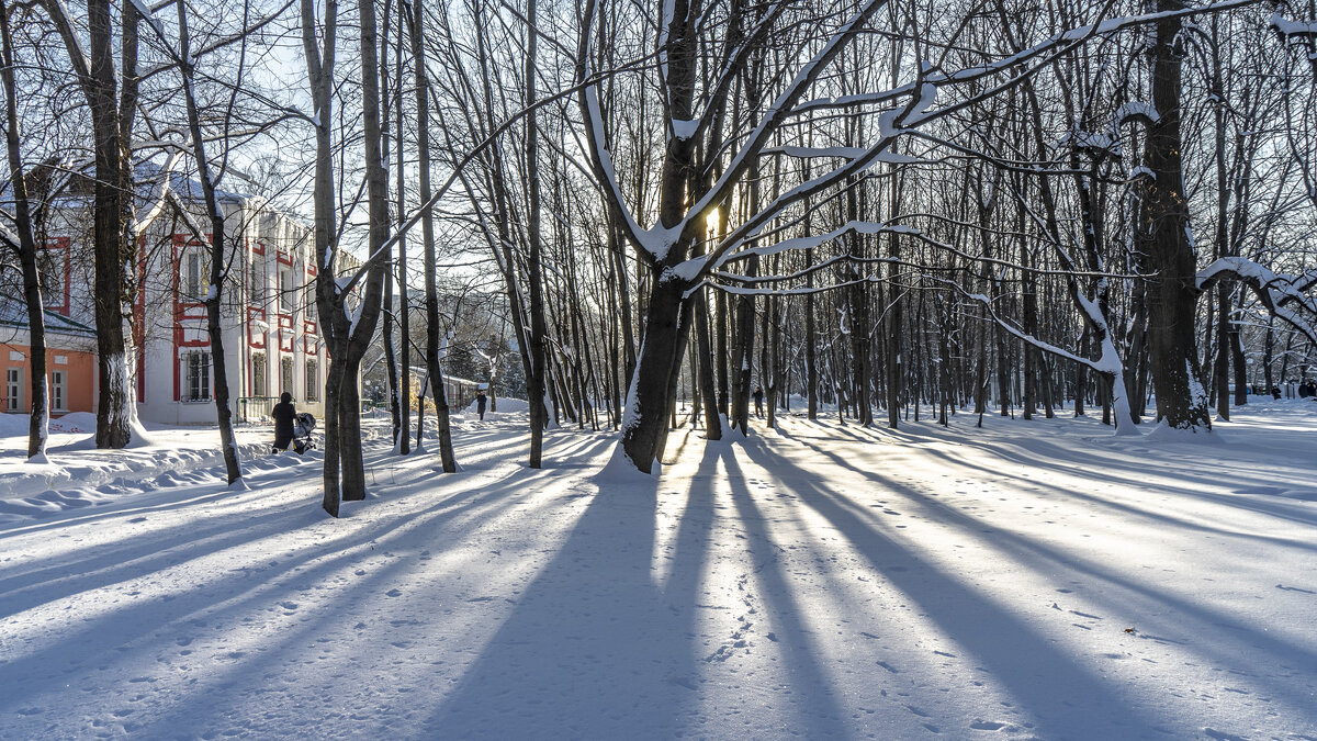 В  Воронцовском парке - Владимир Езеров 
