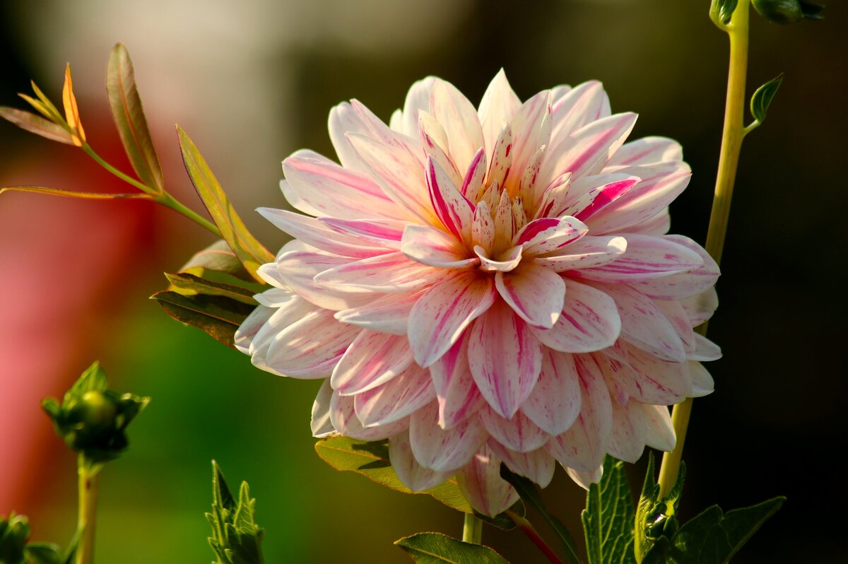 Доброе утро - Юрий. Шмаков Доброе утро - Юрий. Шмаков