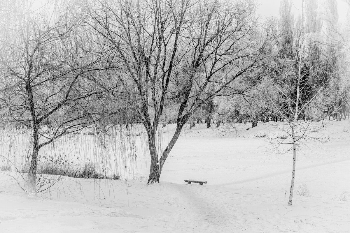 Зимние зарисовки ... - Ravile 