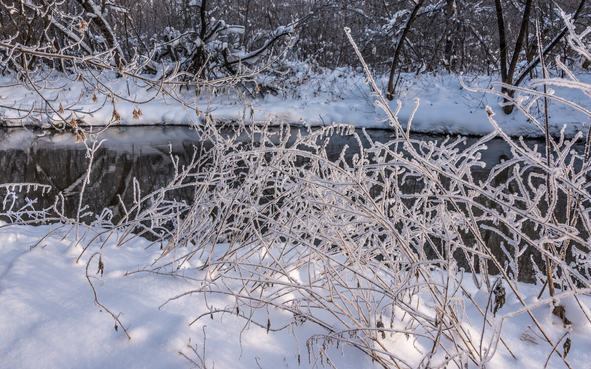 **** - Владимир Безбородов