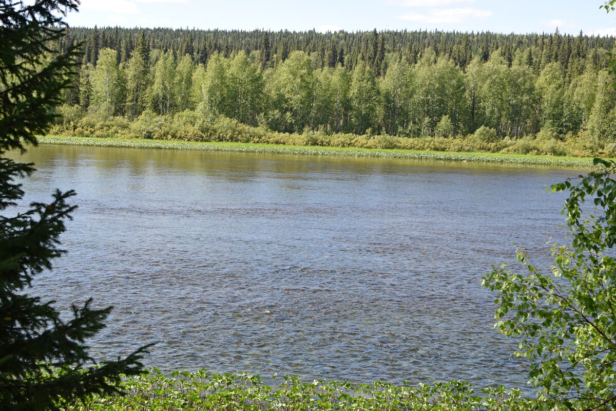 Течёт река, бежит река... - ВикТор Быстров