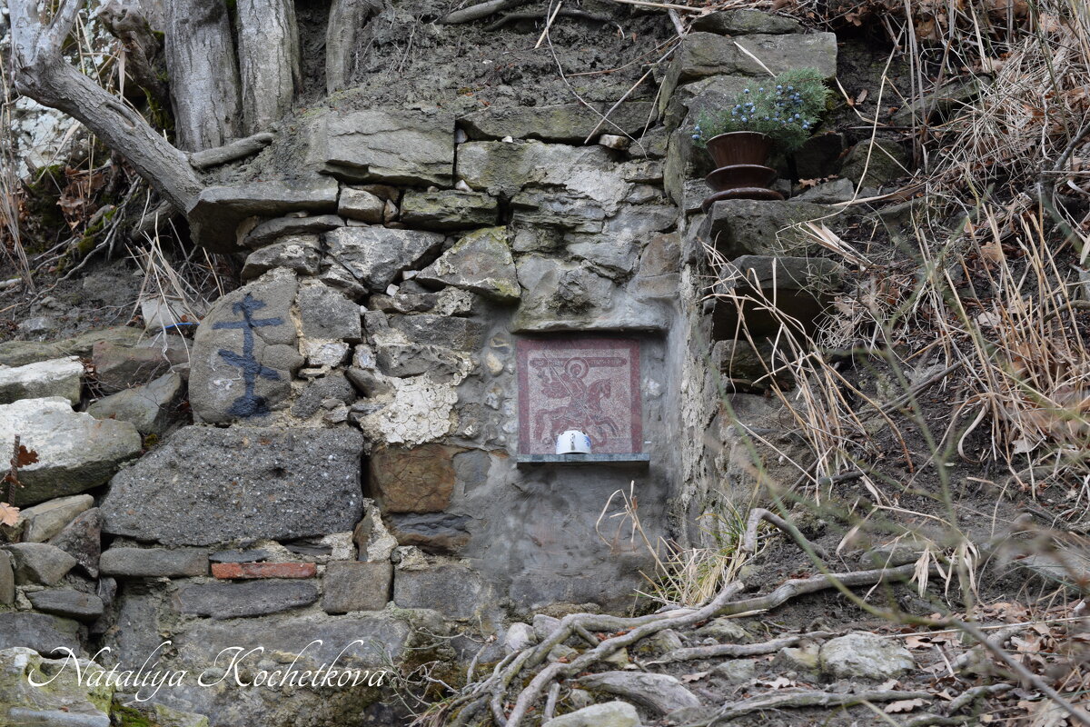 Природа Крыма - Amazing Cosmea