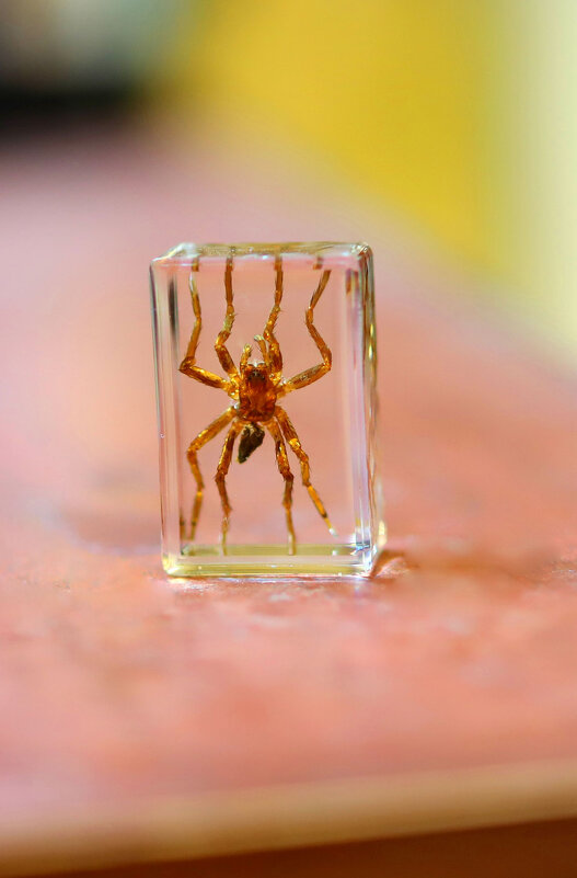 P - Андрей Л. В.