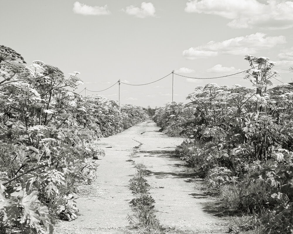 Фотография - Денис Безногов