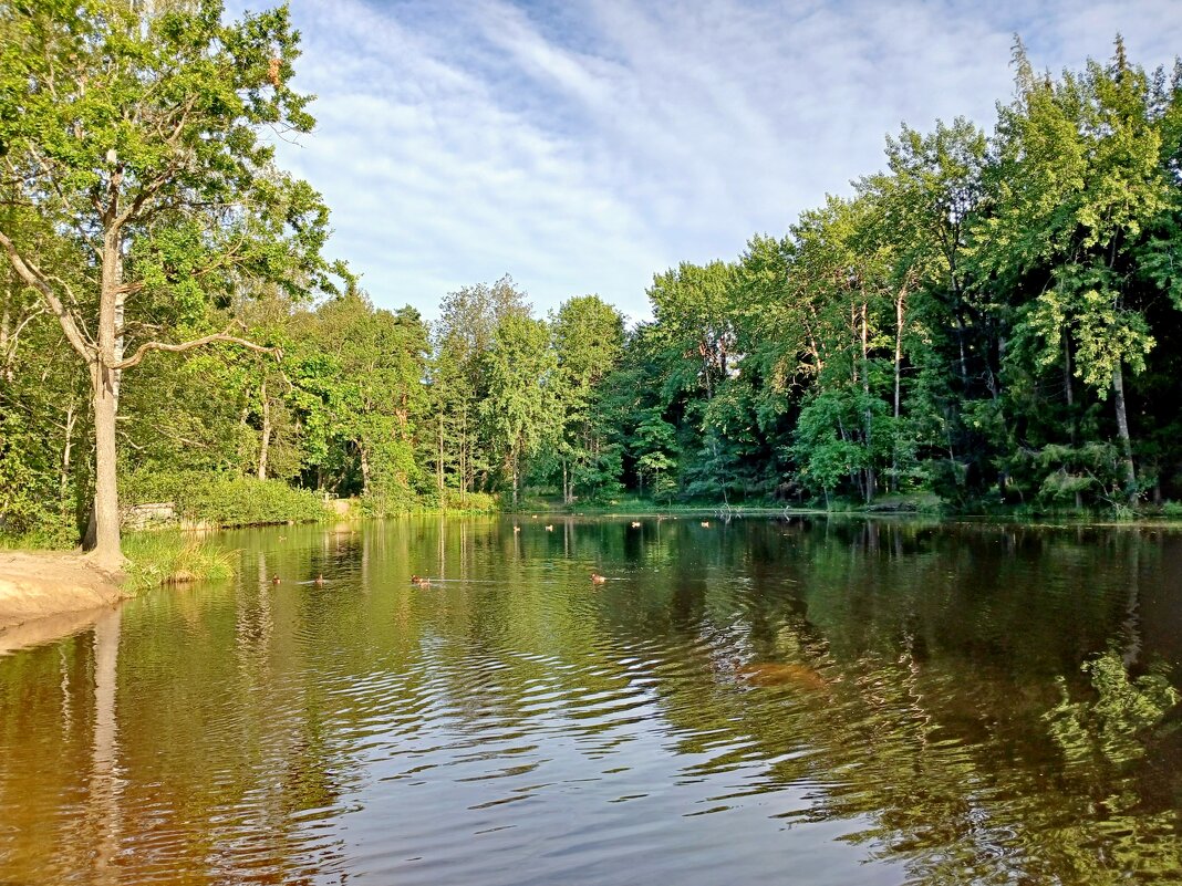 Лесное озеро - Лия ☼