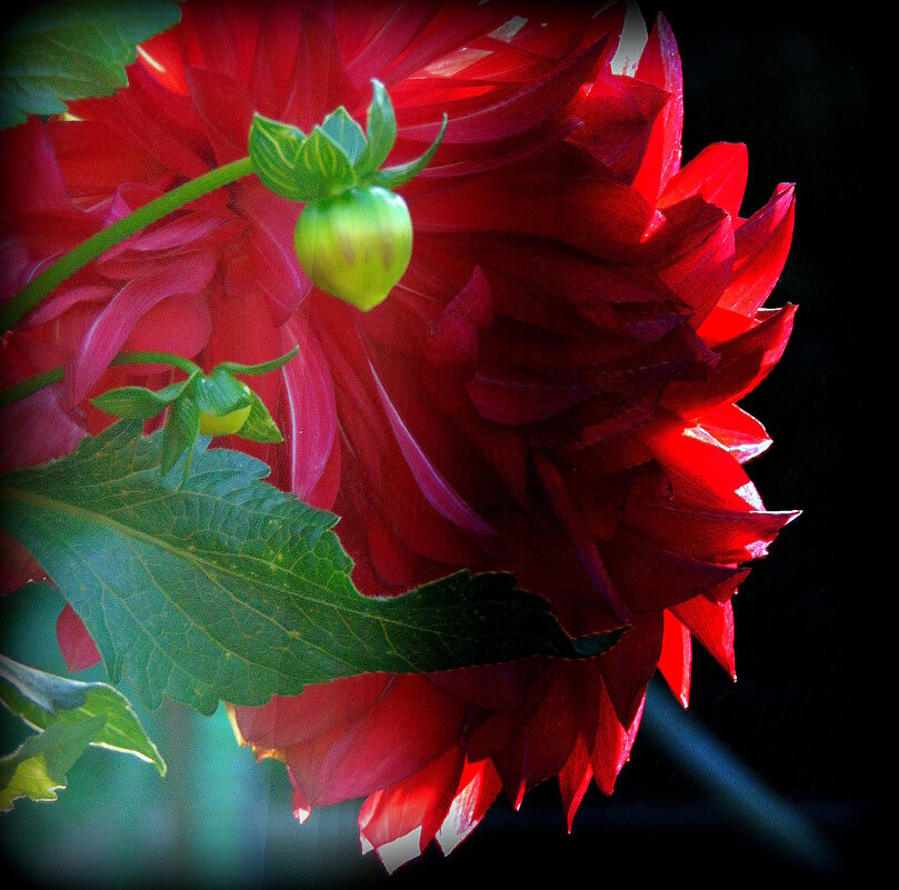 Бутончик. - nadyasilyuk Вознюк