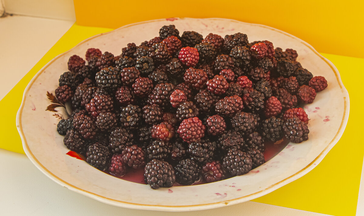 Ежевика. - Петр Беляков