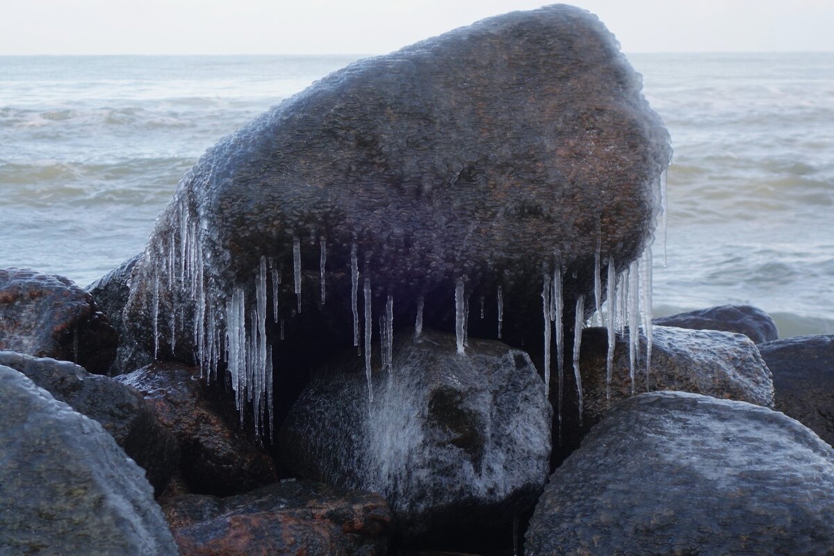 Пасть "кашалота" - Рита Симонова