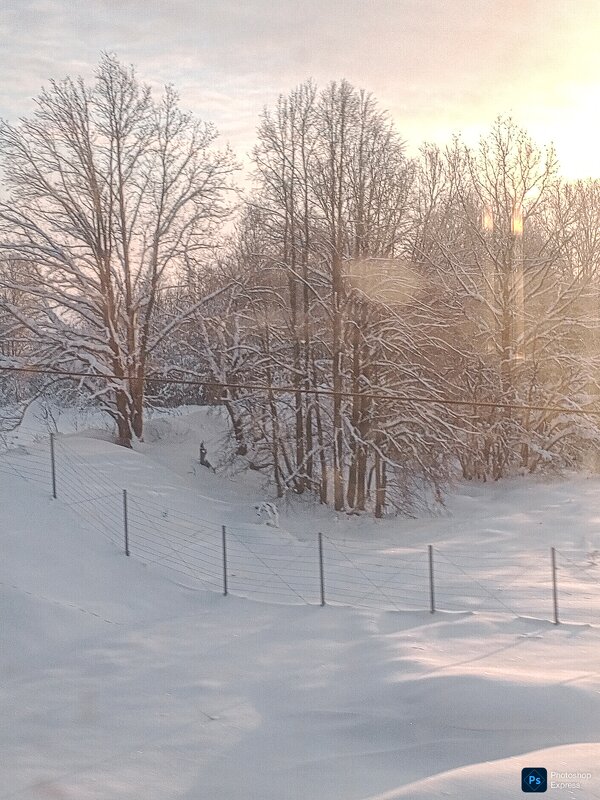 Морозный денек - Юлия Денискина