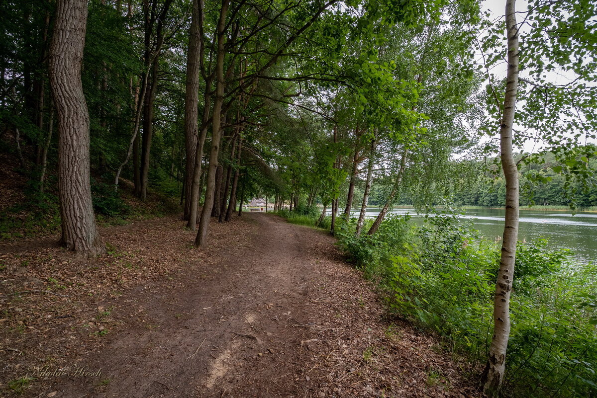 Серединка лета... - Николай Гирш