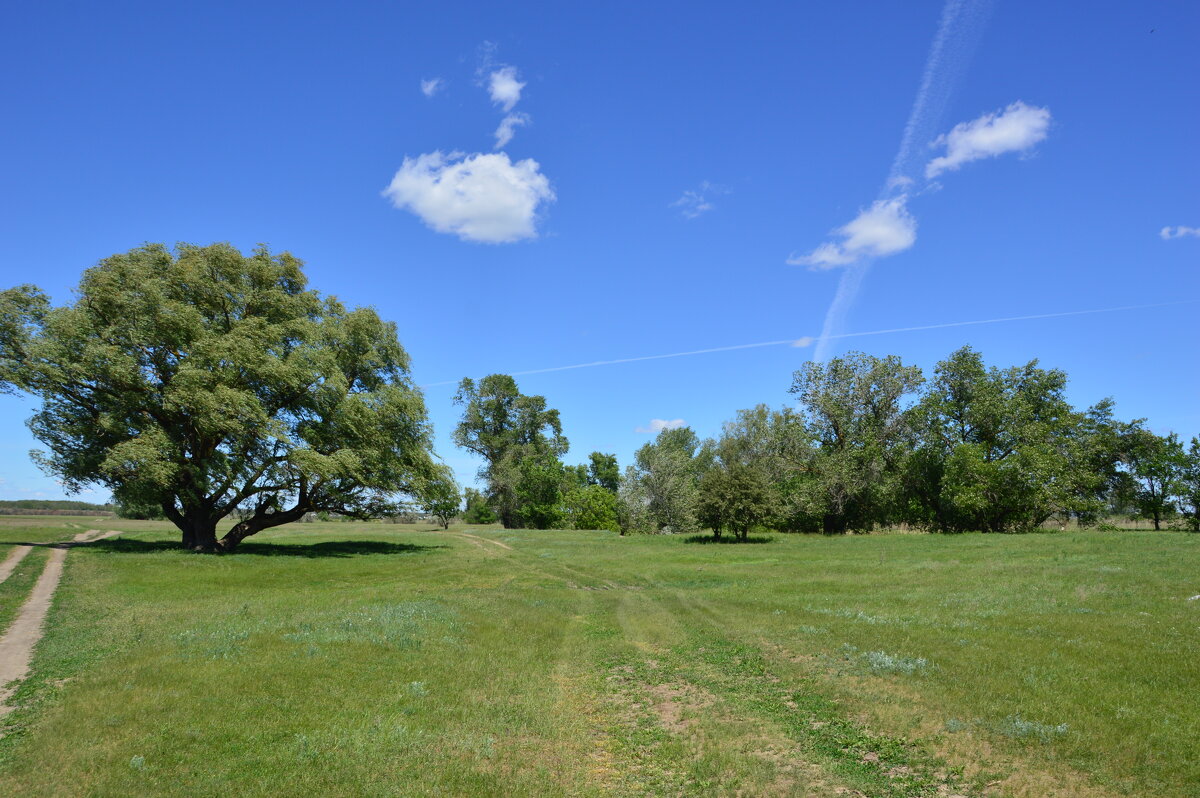 Весна! - Виктор 