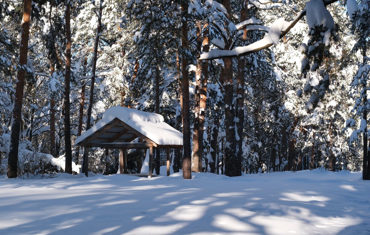 В парке - Андрей Зайцев