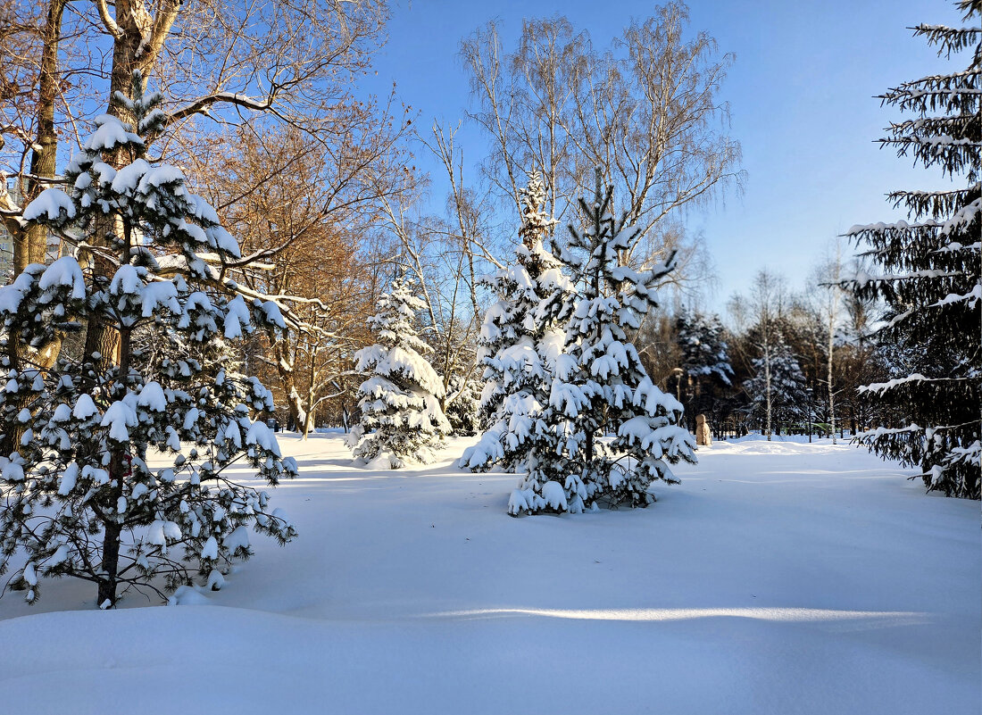 . - РИТА ЛЕВКОВА