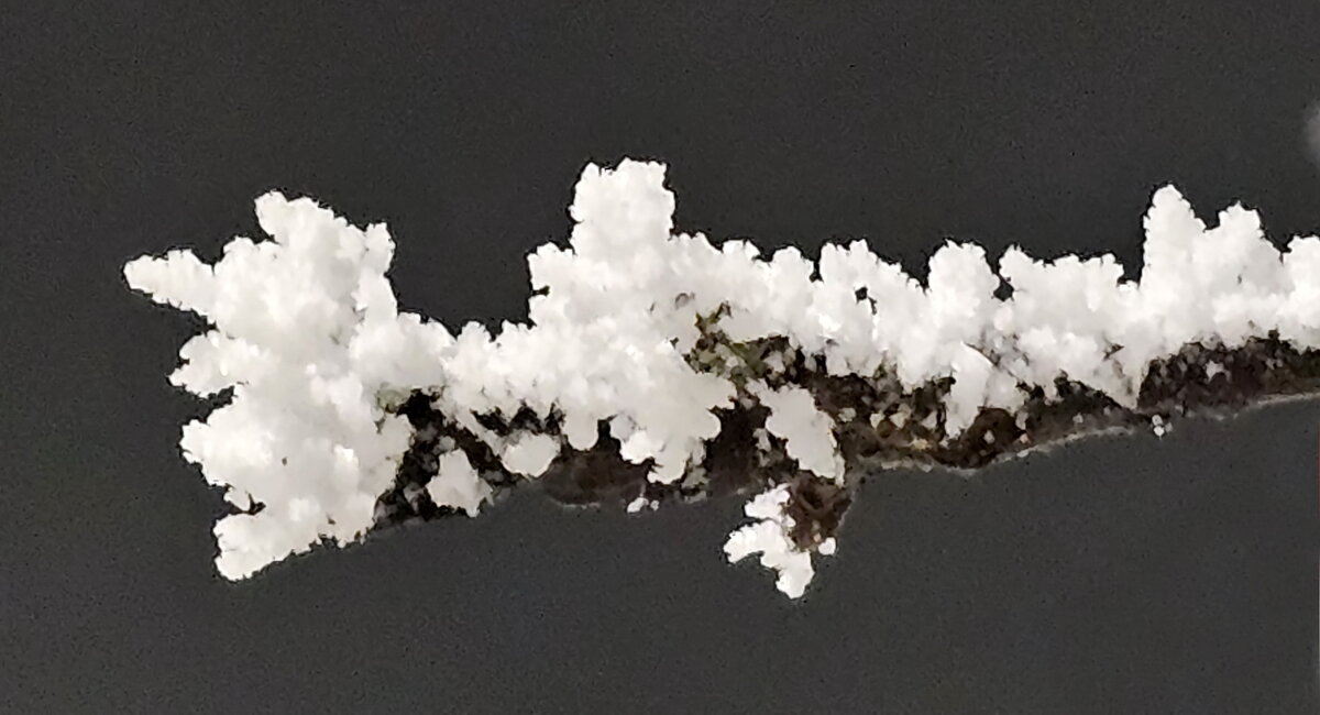 Мороз и иней - Михаил Свиденцов