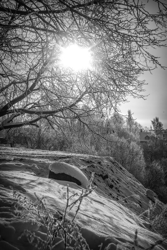 Солнечный морозный день - Роман Алексеев Солнечный морозный день - Роман Алексеев