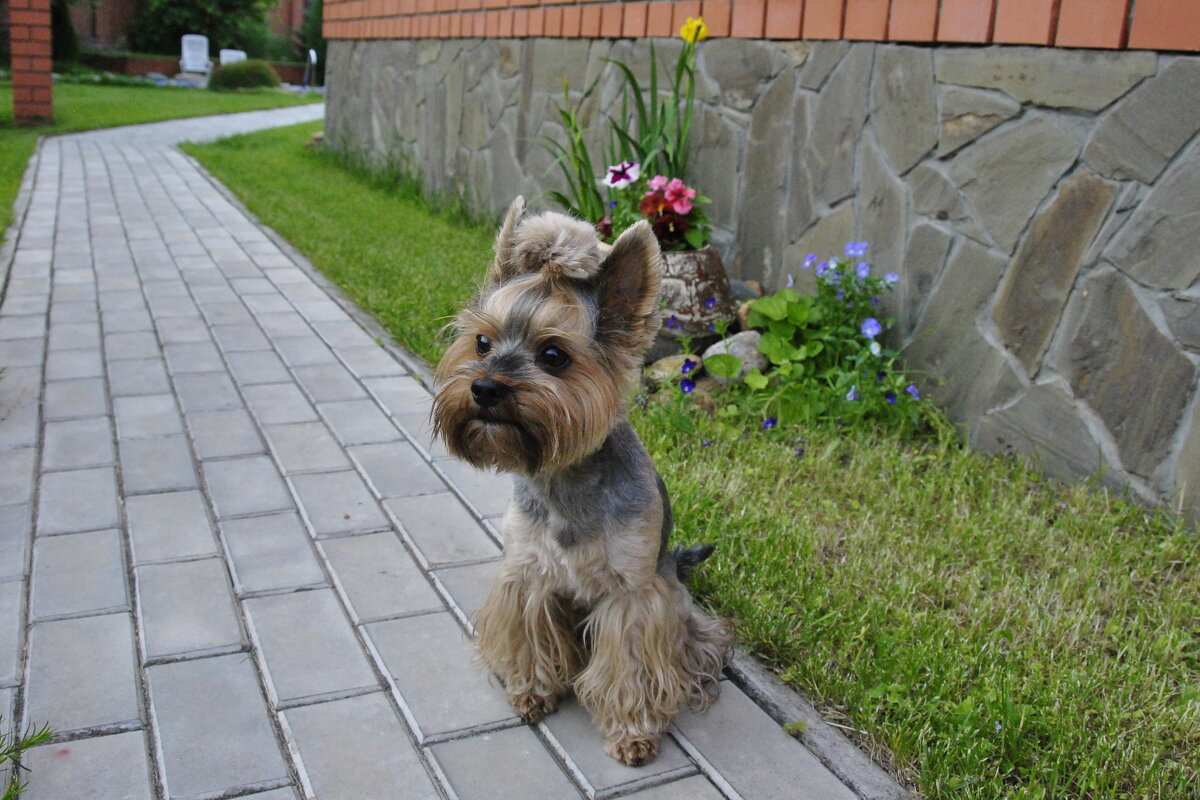 Моя радость - Марина Виноградова