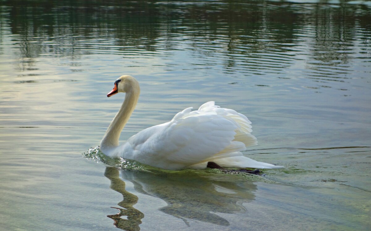 ... - Галина ... - Галина