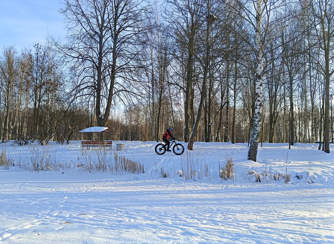 Январские велопокатушки - Мария Васильева