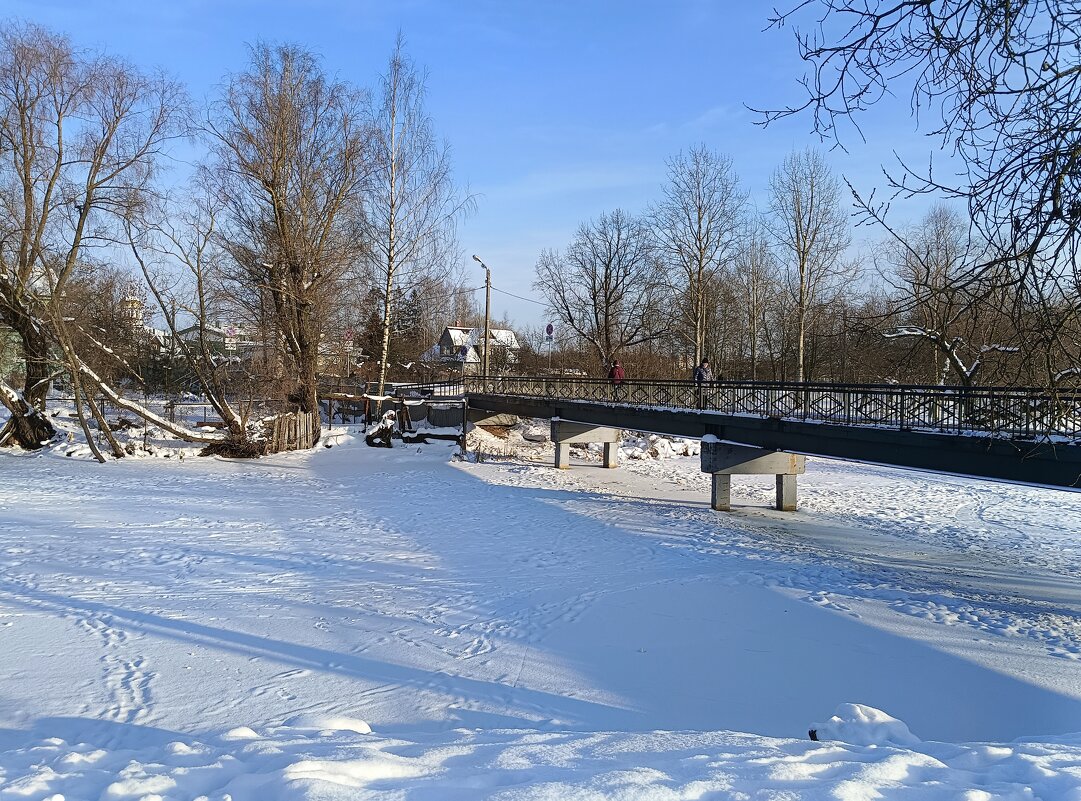 Последние дни января... - Мария Васильева