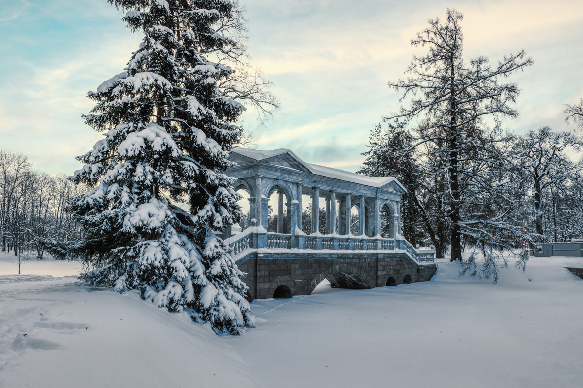 Про Питер - Владимир Колесников