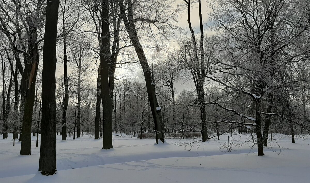 Петергоф. Парк Александрия - Наталья Герасимова Петергоф. Парк Александрия - Наталья Герасимова