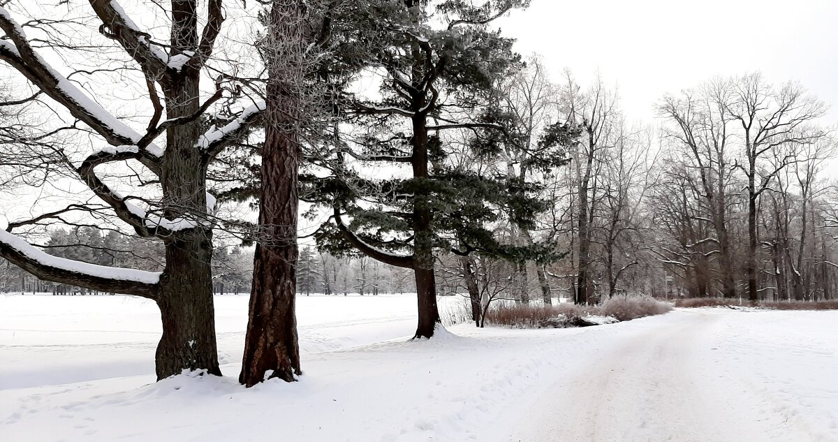Петергоф. Александрия - Наталья Герасимова Петергоф. Александрия - Наталья Герасимова