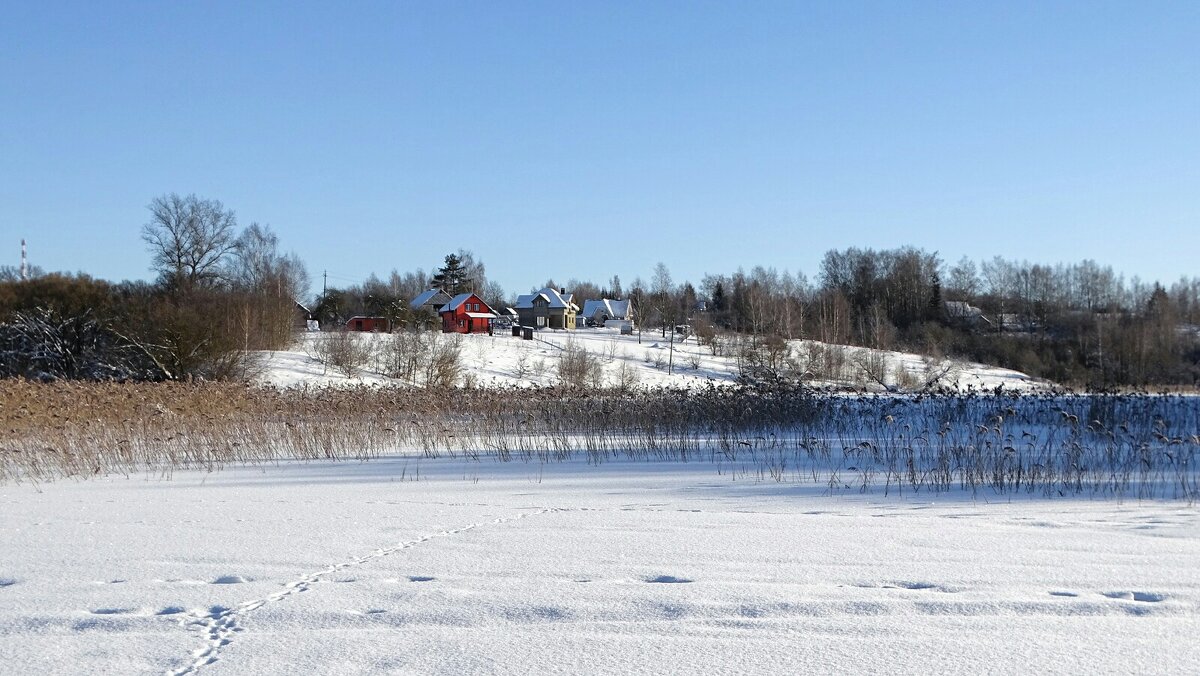 Хуторок на берегу озера. - Милешкин Владимир Алексеевич Хуторок на берегу озера. - Милешкин Владимир Алексеевич