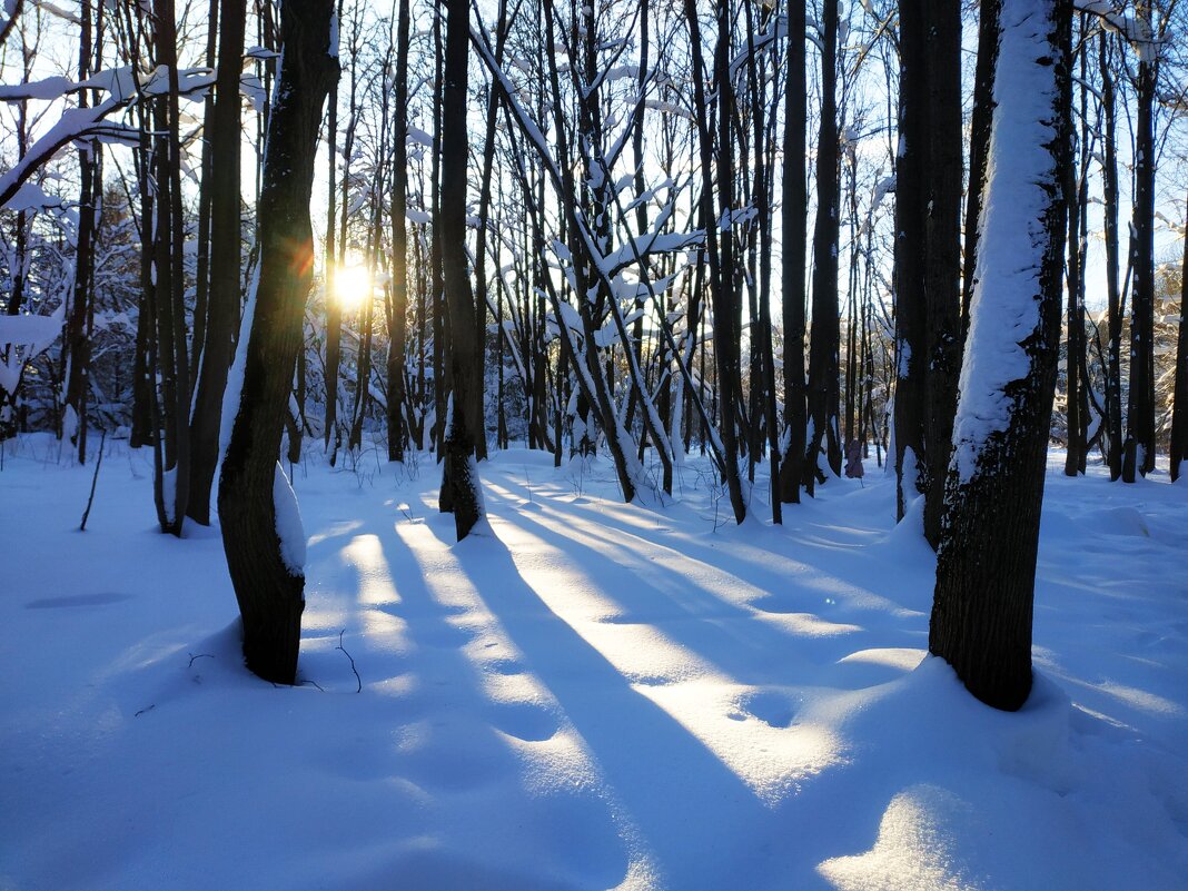 Ну вот и настоящая зима - Андрей Лукьянов
