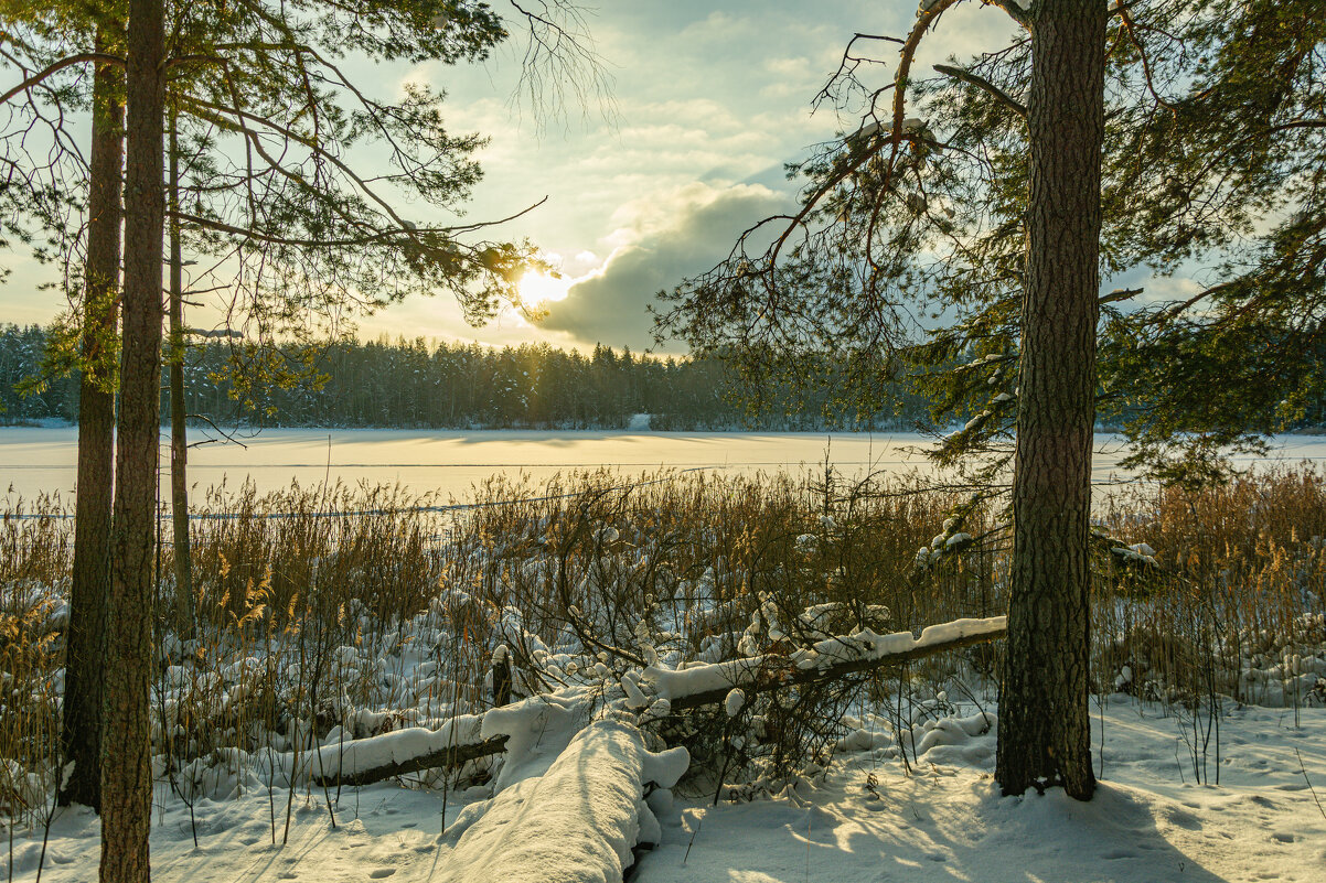 Тропою света.... - Александр Филатов