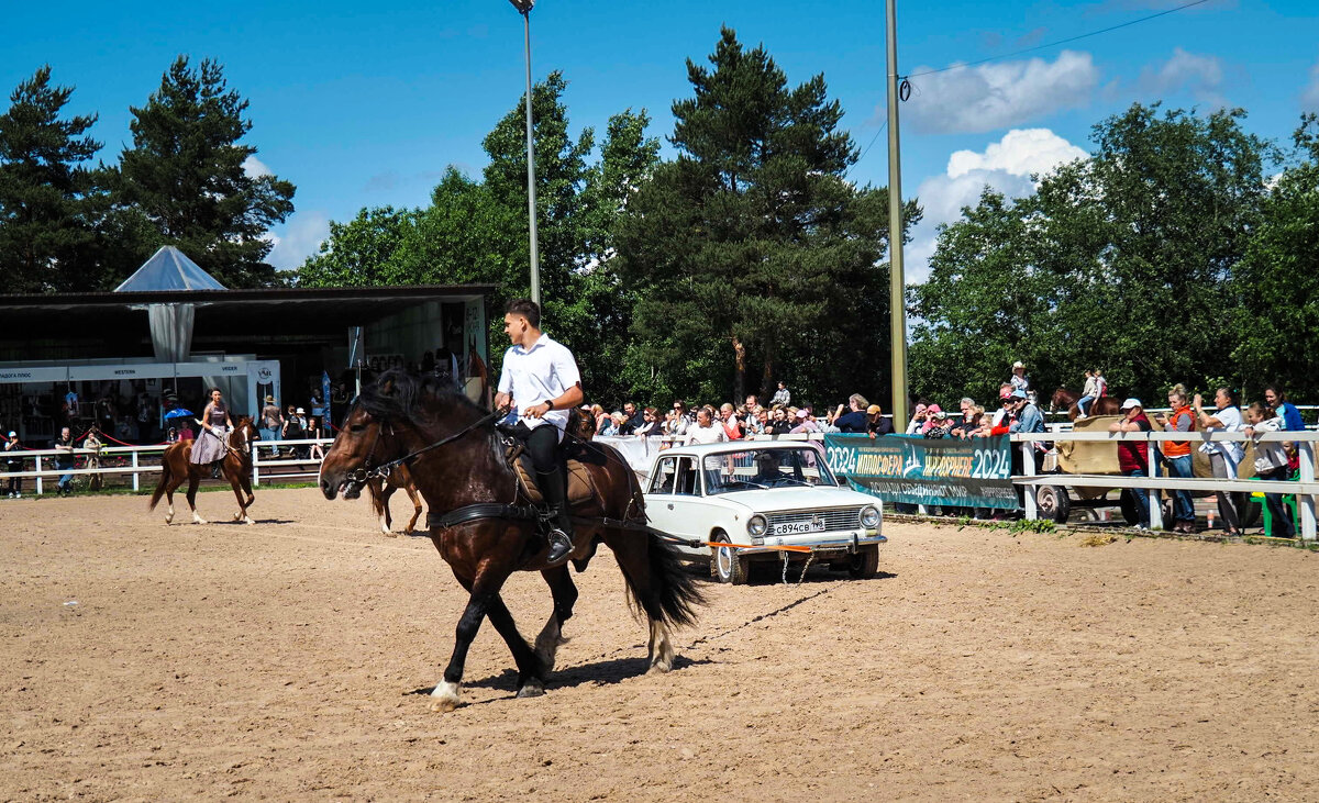 Про лошадиную силу - Магомед . Про лошадиную силу - Магомед .
