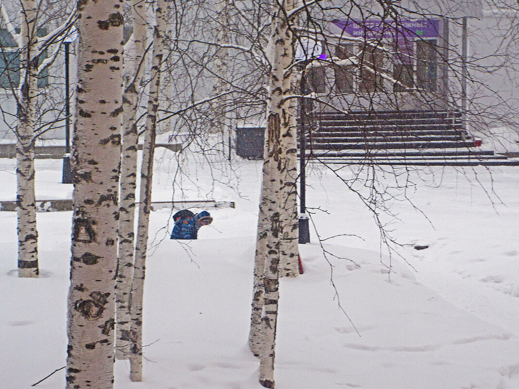 Январь...Какая  же интересная дорога в школу! - Владимир 