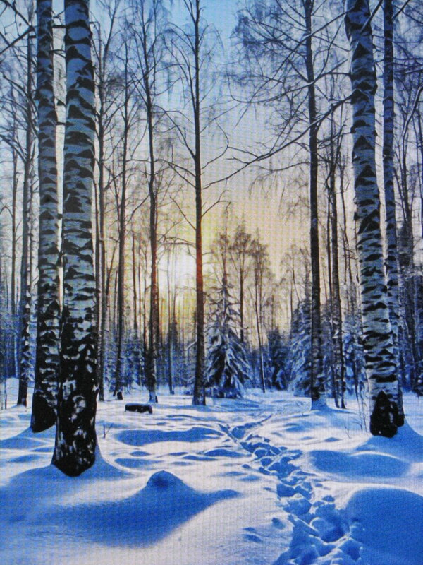 В лесу - Людмила Смородинская