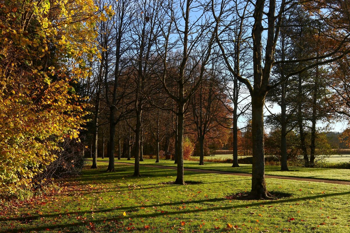 Солнечный день ноября - Юрий. Шмаков
