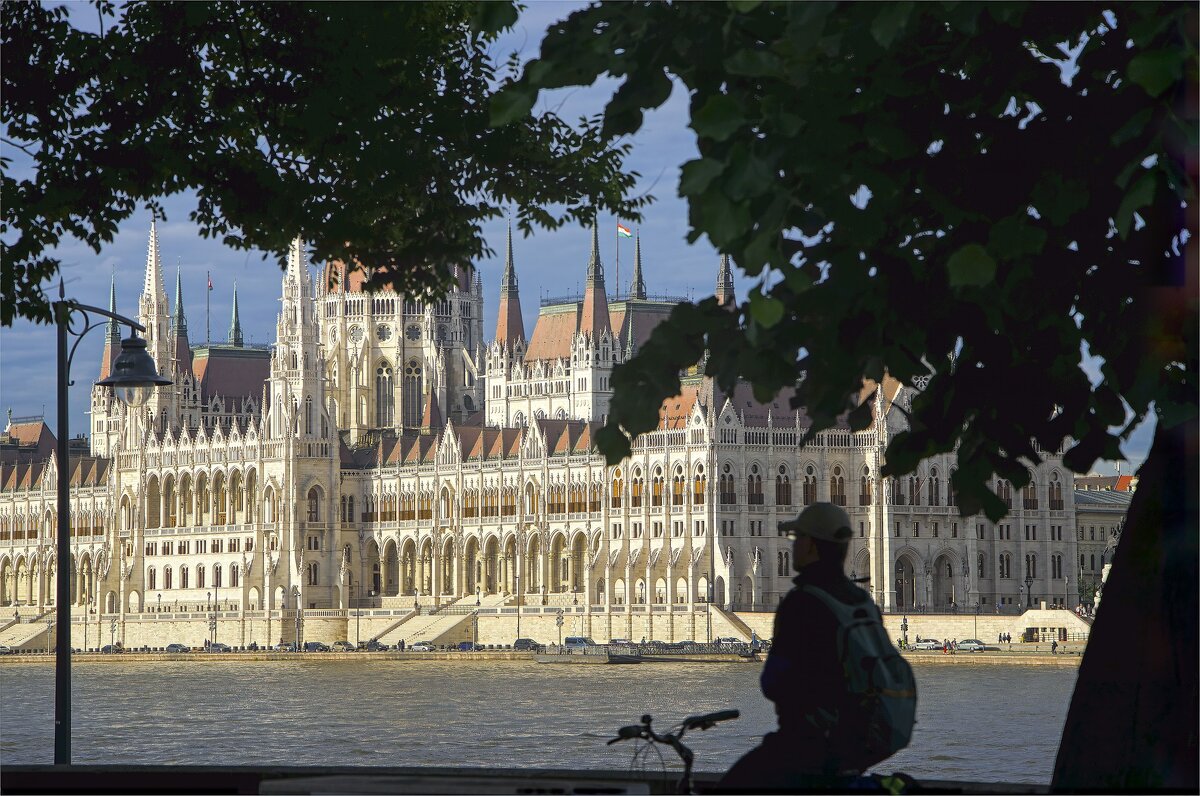 Венгрия 2019г - ujgcvbif 