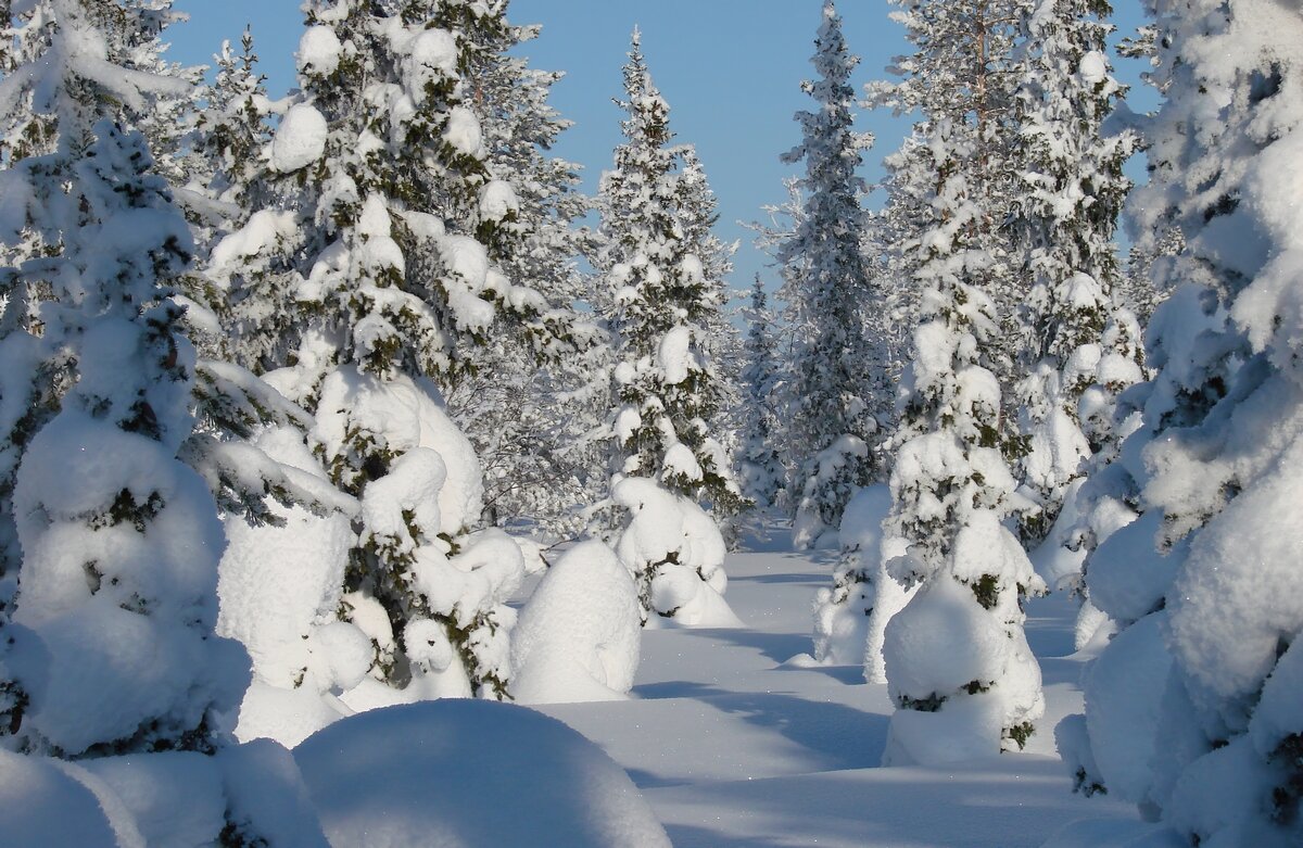 Зимняя сказка... - Ravile 