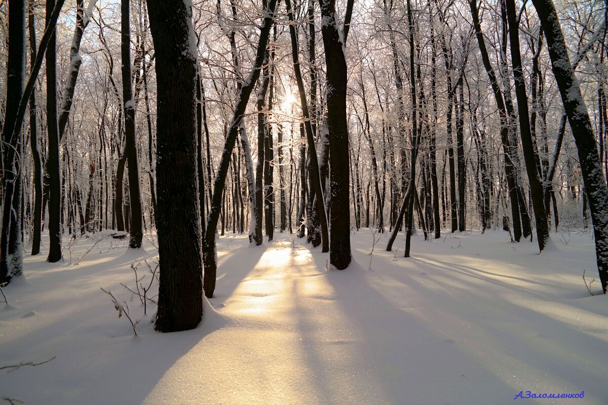 На пороге февраля... - Андрей Заломленков На пороге февраля... - Андрей Заломленков