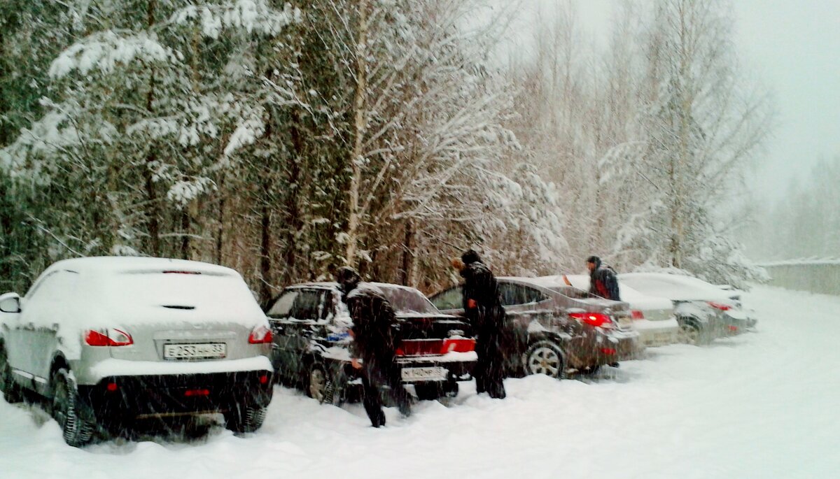 метель - Владимир 