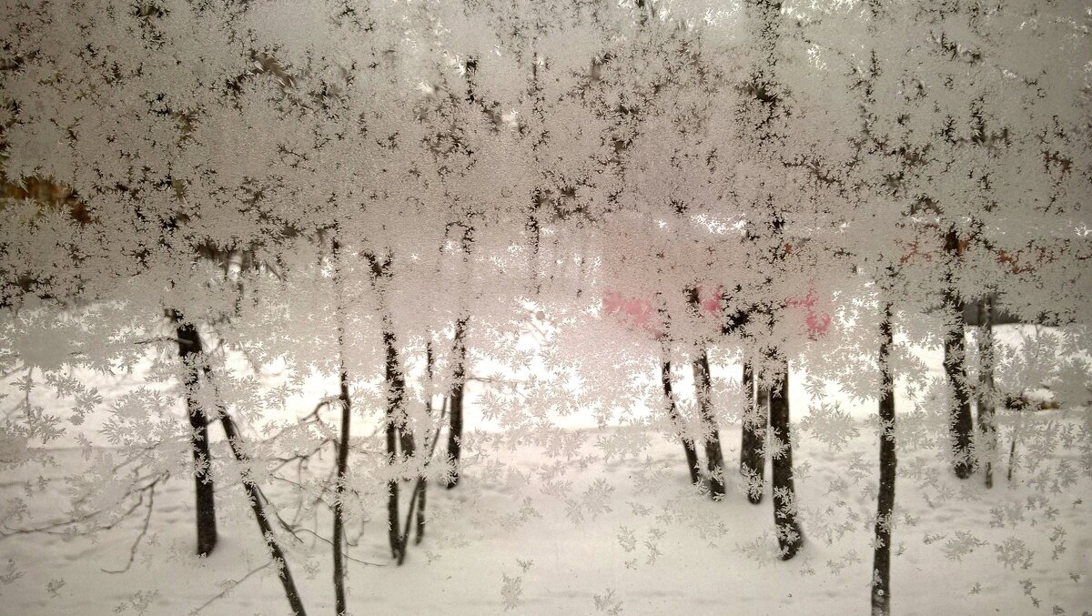 Морозно - Елена Семигина