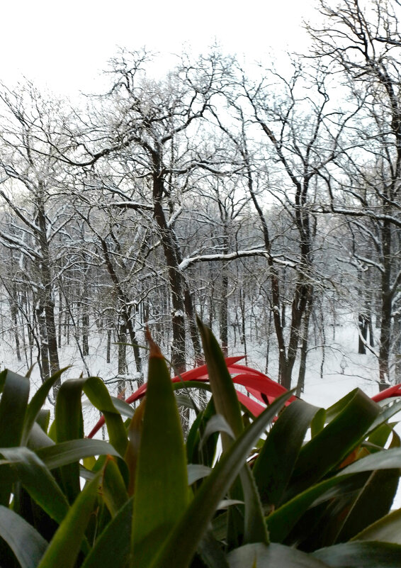 *** - Валентина Береснева