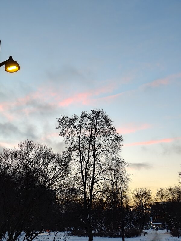 , вечер - Андрей 