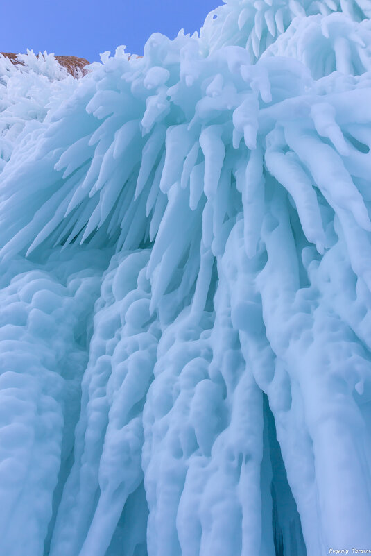 Сокуи - Евгений Тарасов 