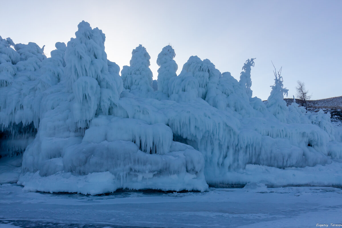 Сказочный лес - Евгений Тарасов 
