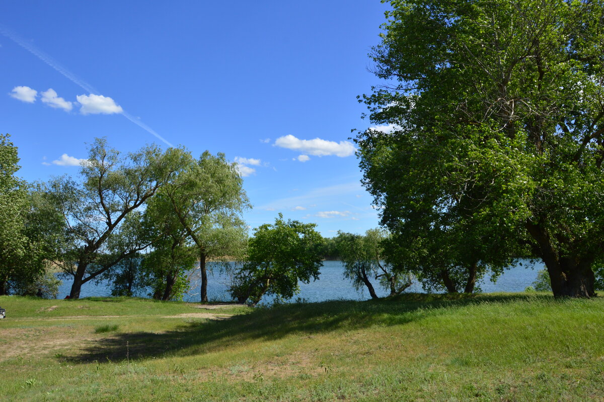 У реки. - Виктор 