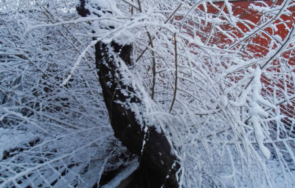 Январское утро - Наталья Январское утро - Наталья