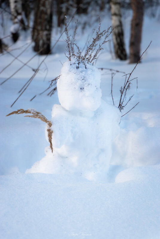 Снеговичок - Игорь Чичиль
