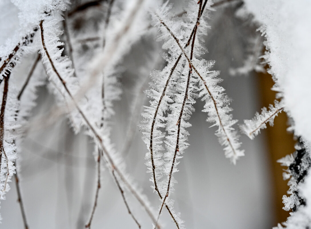Зима - Вадим 