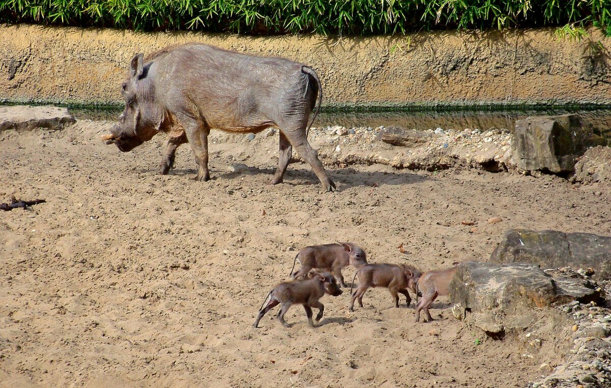 У каждого своя дорога... - Сергей Карачин